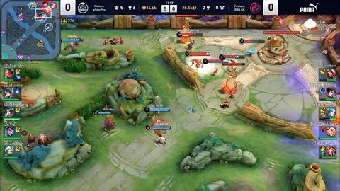 野的把握 野的把握