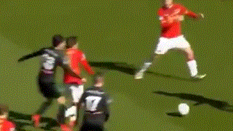 必须仔细权 必须仔细权